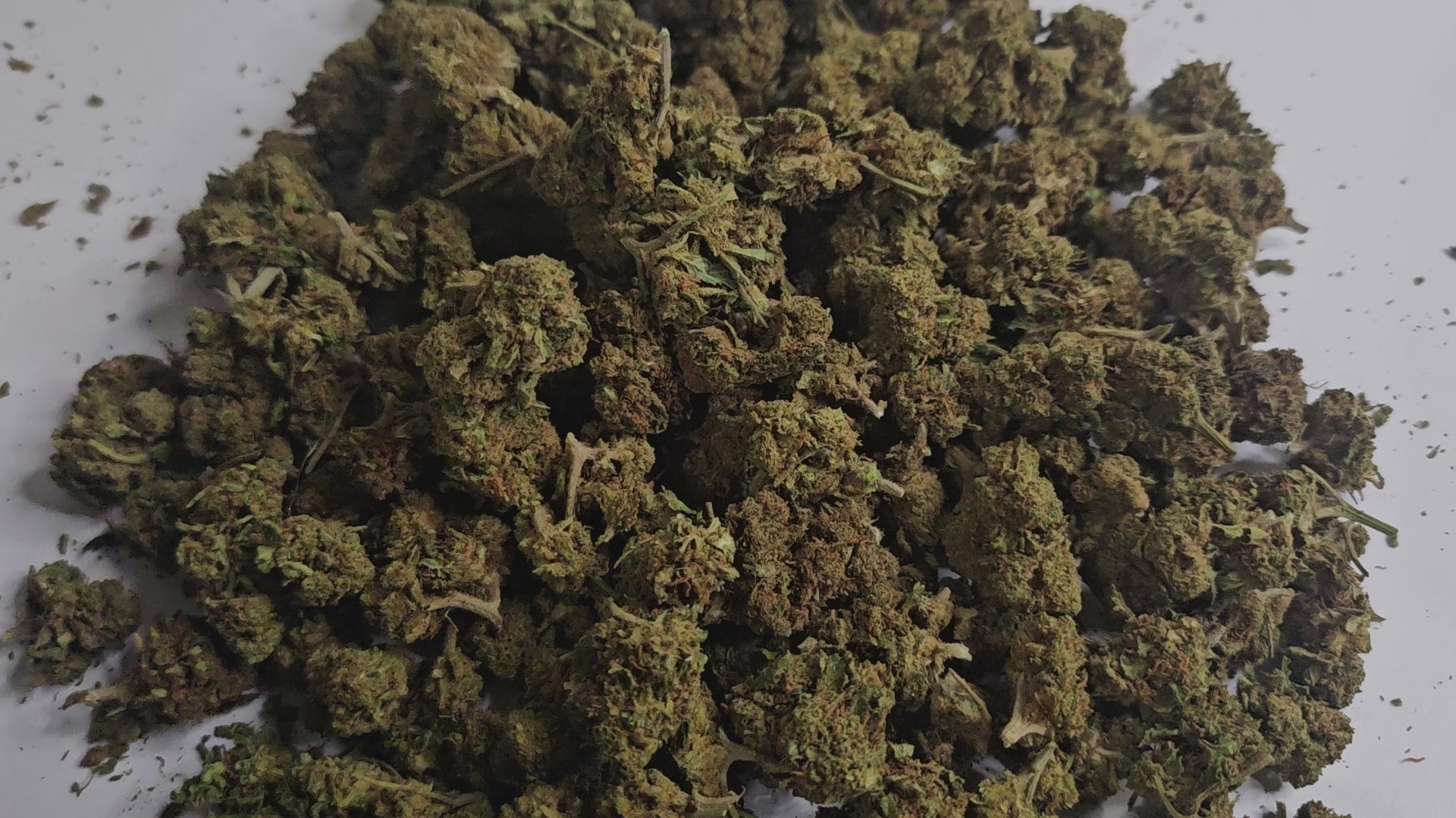 La légendaire OG Kush revient ici en version Small Bud, avec ses petites têtes compactes mais tout aussi savoureuses. Son parfum unique mêle des notes terreuses, boisées et légèrement citronnées qui en font une variété incontournable.