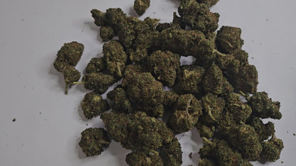 La fleur de CBD Orangello séduit par ses arômes d’agrumes intenses, mêlant orange et notes sucrées. Ses têtes compactes et résineuses offrent une expérience à la fois fruitée et puissante.