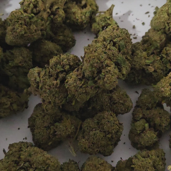 La Candy Kush séduit par ses arômes sucrés et gourmands, rappelant les bonbons et les fruits confits. Son effet est apaisant et relaxant, idéal pour se détendre en douceur en fin de journée. 