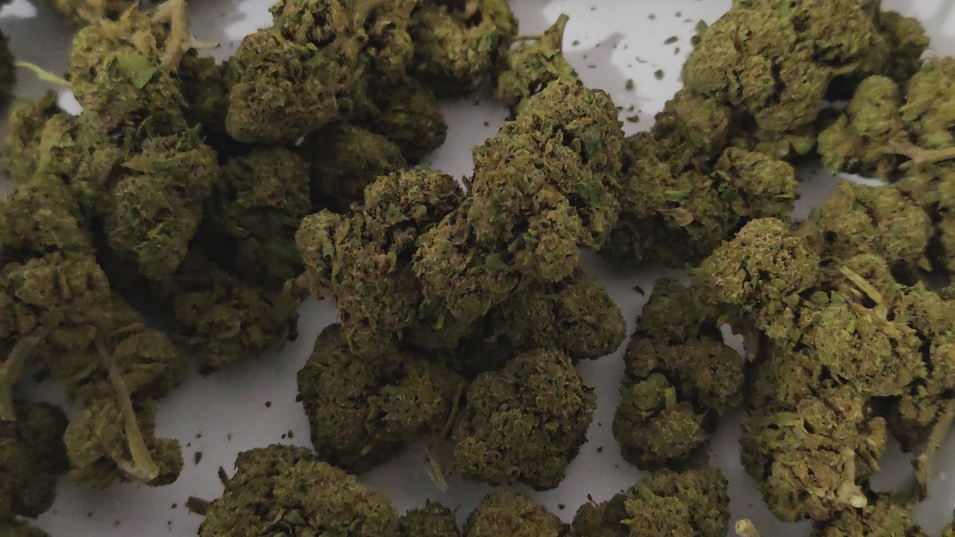 La Candy Kush séduit par ses arômes sucrés et gourmands, rappelant les bonbons et les fruits confits. Son effet est apaisant et relaxant, idéal pour se détendre en douceur en fin de journée. 