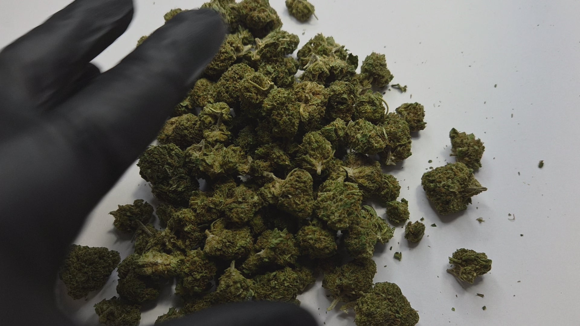 Laissez-vous séduire par la Lemon Haze Small Bud, une fleur CBD sativa aux arômes éclatants de citron frais et d'agrumes. Ses petits buds compacts et généreusement recouverts de trichomes offrent une expérience sensorielle intense, idéale pour les connaisseurs de CBD de qualité premium.